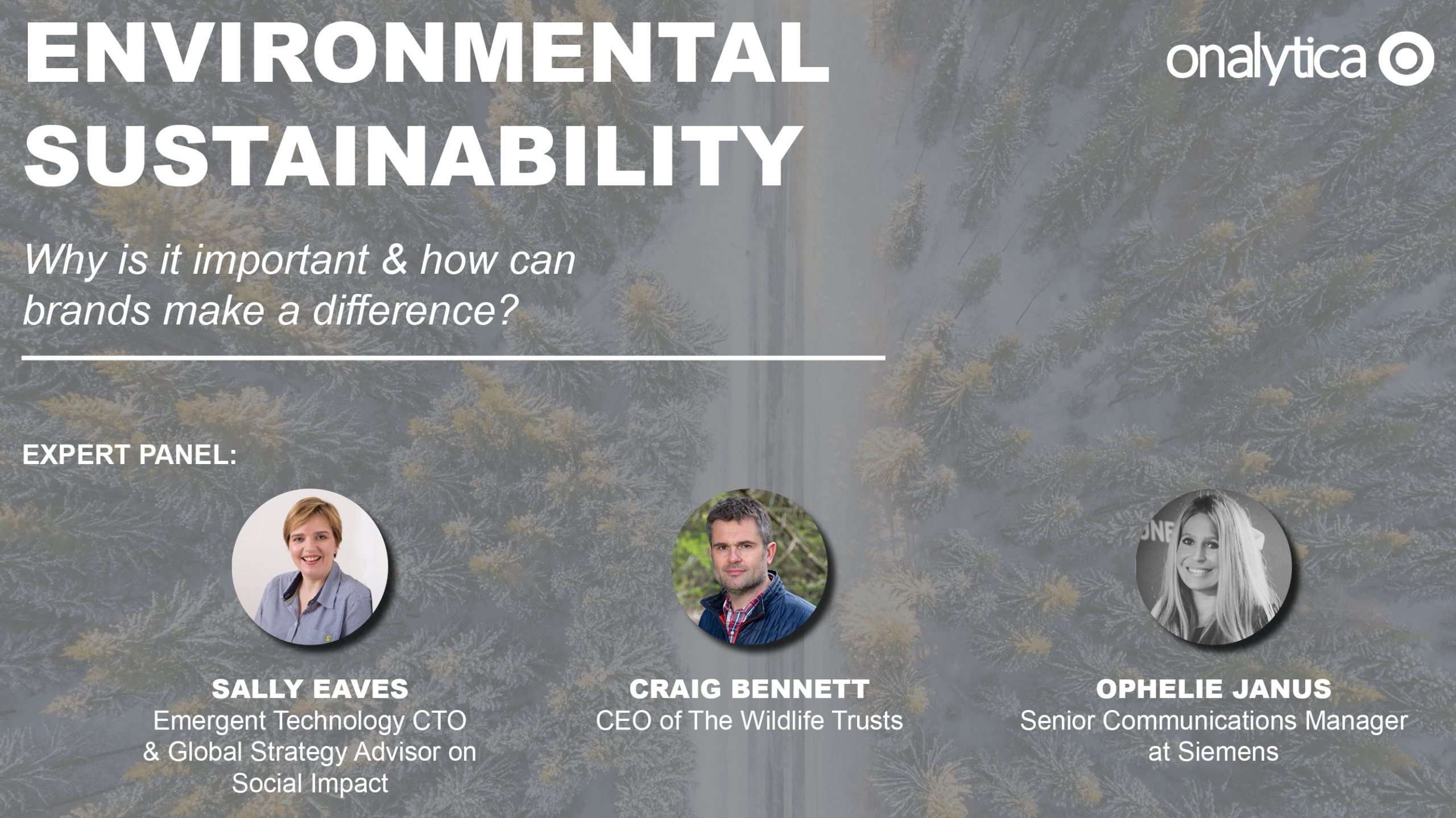 Environmental Sustainability: Why is it important & how can brands make ...